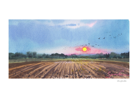 Wheat Field with sun. Watercolor
