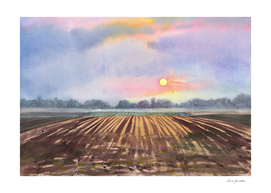 Field. Watercolor