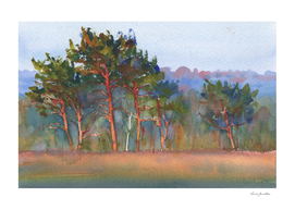 Trees in the field. Watercolor