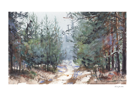 Forest landscape in nature. Watercolor