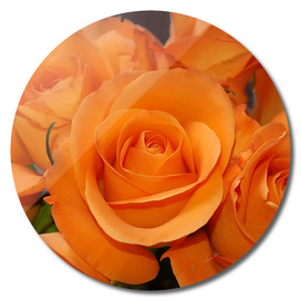 Bouqet orange roses