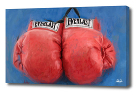 Everlast Boxing gloves