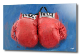Everlast Boxing gloves