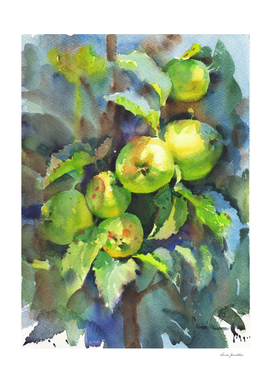 Nature. Branch with apples. Watercolor