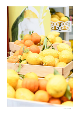 Amalfi Lemons & Oranges #1 #travel #wall #art