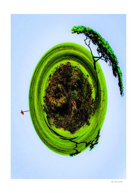golf course with trees and blue sky in small planet style