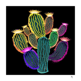 cactus, cheerful, glowing, night, sparkling,