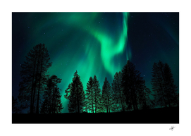 Aurora Northern Lights Phenomenon Atmosphere Sky