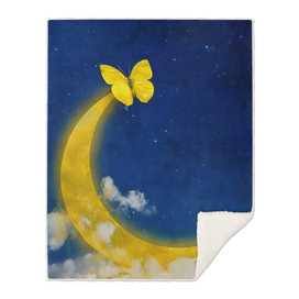 Yellow Crescent Moon Butterfly