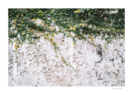 Rustic Leafy Positano Wall #1 #travel #wall #art