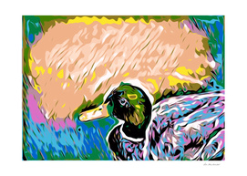 mallard duck with colorful abstract background