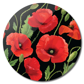 Delicate Red Poppies