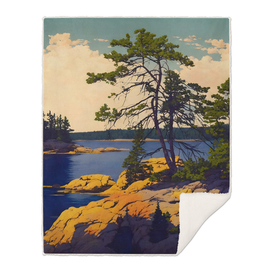 Georgian Bay Trees and Rocks