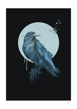 Blue Crow (dark)