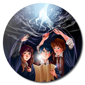 Harry Potter Adventure