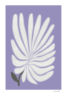 Lilac Chrysanthemum