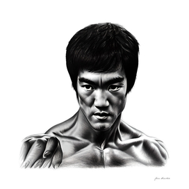 Bruce Lee Artwork