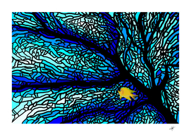 sea fans diving coral stained glass