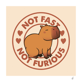 Not Fast Not Furious Capybara