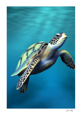 Sea Turtle - Low Poly