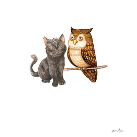 Owl and Cat