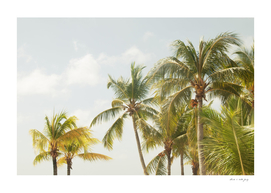 Caribbean Palm Trees Beach Vibes #3 #tropical #wall #decor