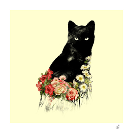 Black Cat Vintage Flower Good Luck
