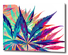 Colorful Cannabis leaves on white background