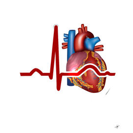 hearts medical