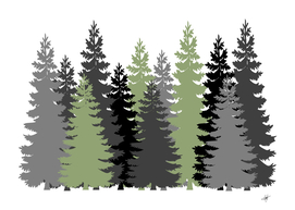vectors forest trees evergreen conifers