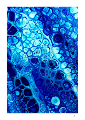 cells are blue