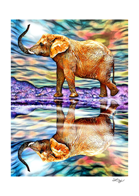 Elephant Reflections