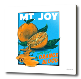 Orange Blood - Mt. Joy