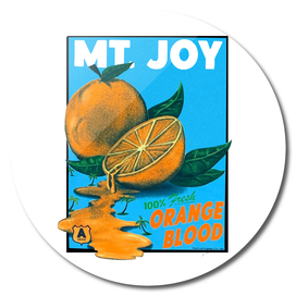 Orange Blood - Mt. Joy