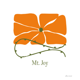 Rose - MT. Joy