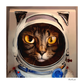 SPACE CAT 4