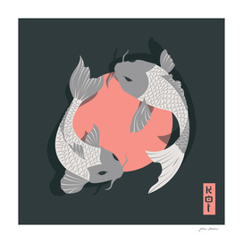Koi fish 002