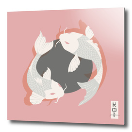 Koi fish 006