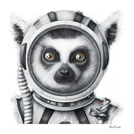 Lemur Astronaut 3