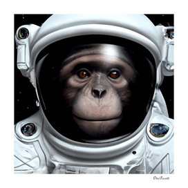 Chimpanzee In Space 4