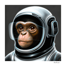 Chimpanzee In Space 17