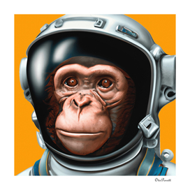 Chimpanzee In Space 18