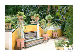 Casa de Pilatos Garden #1 #seville #travel #art