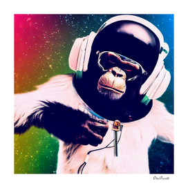 Chimpanzee I Am a DJ 3