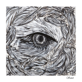 Eagle's eye