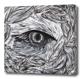 Eagle's eye