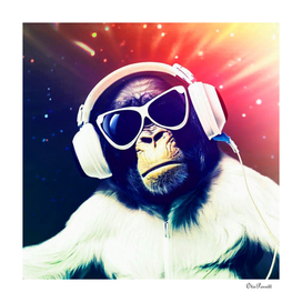 Chimpanzee I Am a DJ