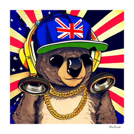 Koala I Am a DJ 3
