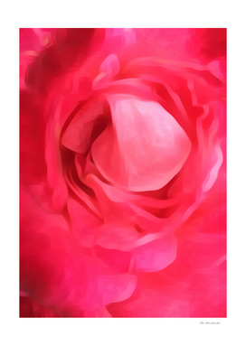 closeup red rose texture abstract background
