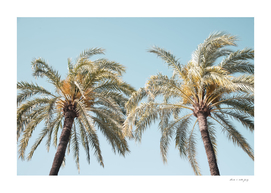 Palm Trees Beauty #4 #tropical #wall #art